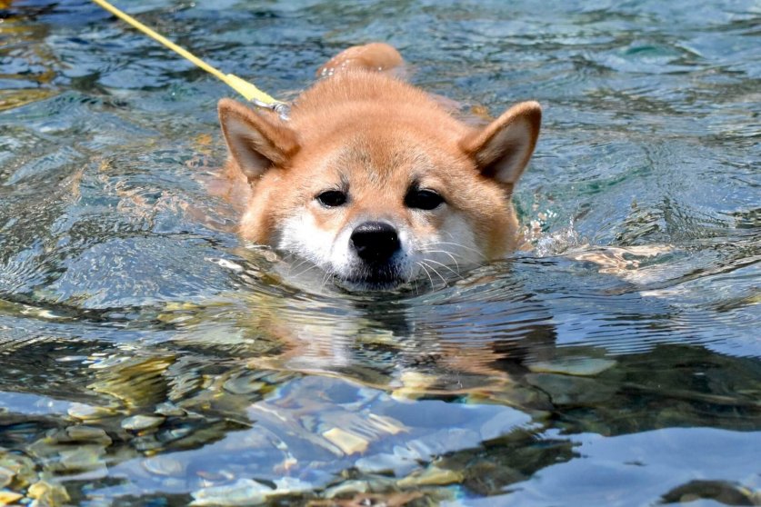 waterplay05