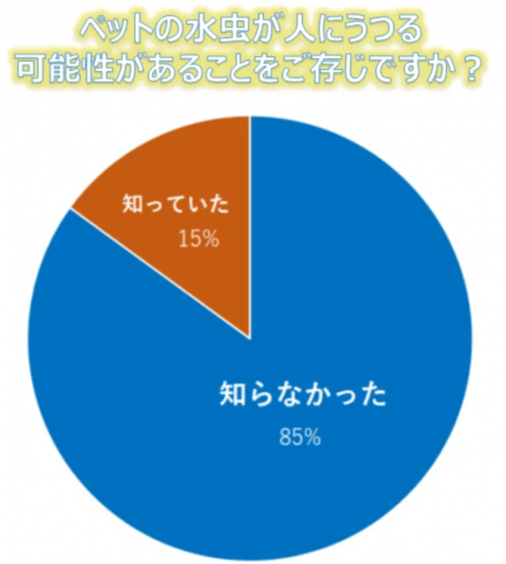 スクリーンショット 2022-06-28 172950