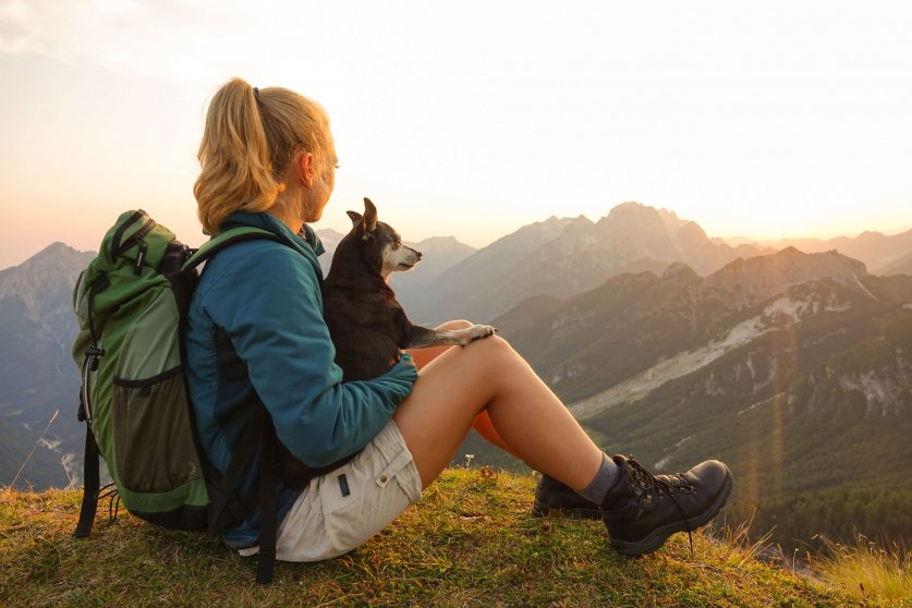 CLOSE UP: Girl sits on mountaintop and pets her dog while observ
