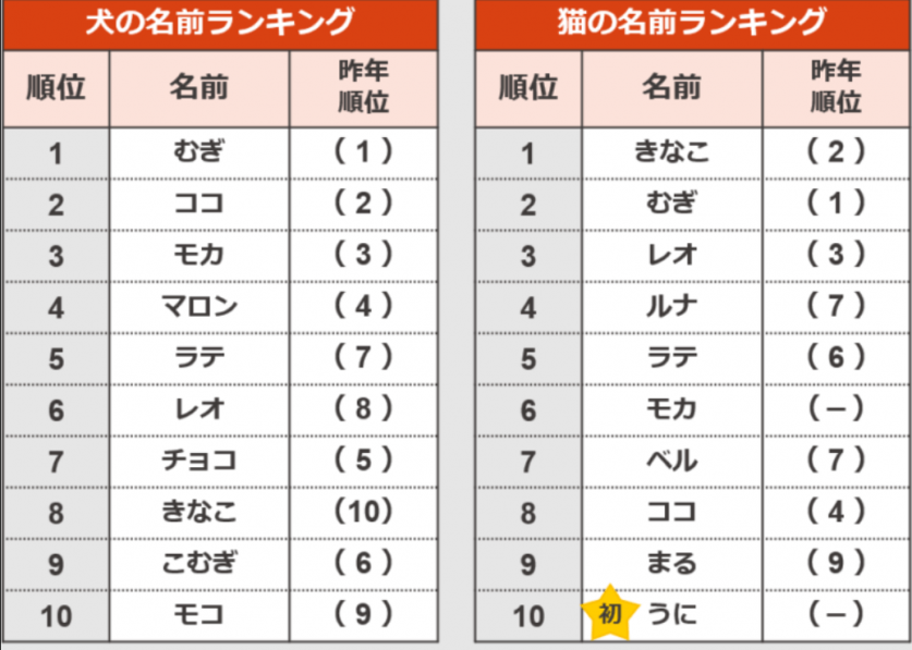 スクリーンショット 2023-05-27 214933