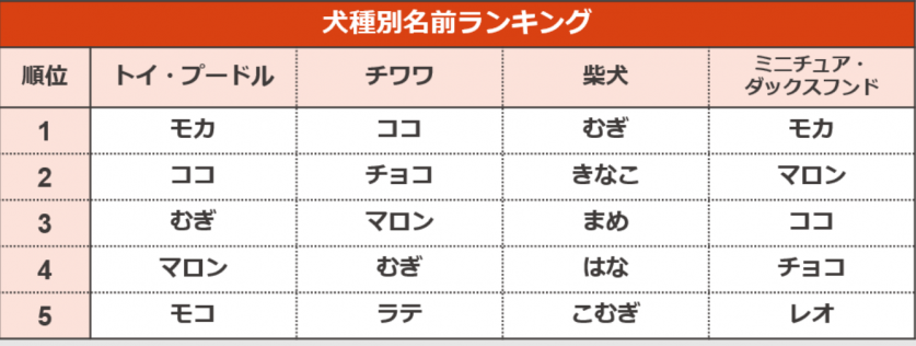 スクリーンショット 2023-05-27 220324