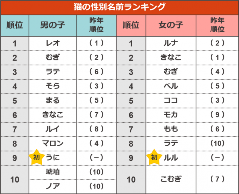 スクリーンショット 2023-05-28 091957