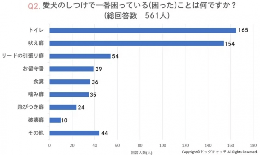 スクリーンショット 2023-07-13 162709