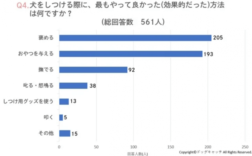 スクリーンショット 2023-07-13 163038