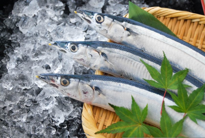 sanma03