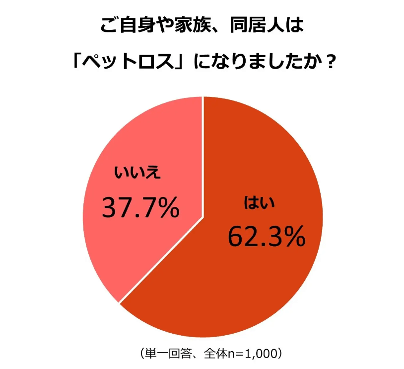 スクリーンショット 2023-10-19 183609