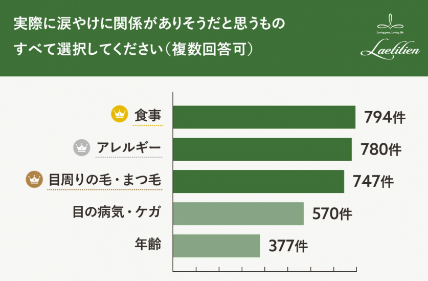 スクリーンショット 2023-10-31 192415