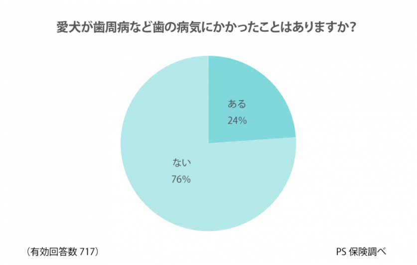 スクリーンショット 2023-12-29 154833