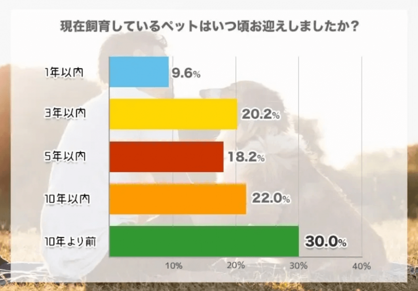 スクリーンショット 2023-12-29 164615