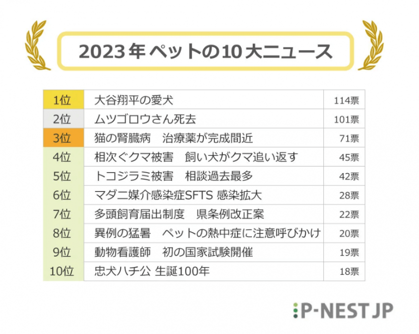 スクリーンショット 2024-01-14 115816