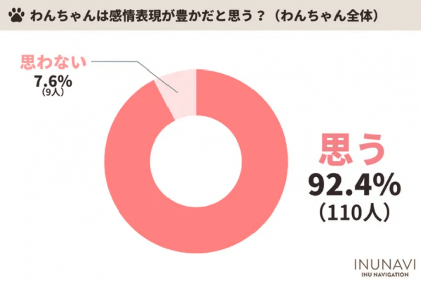 スクリーンショット 2024-02-23 113943