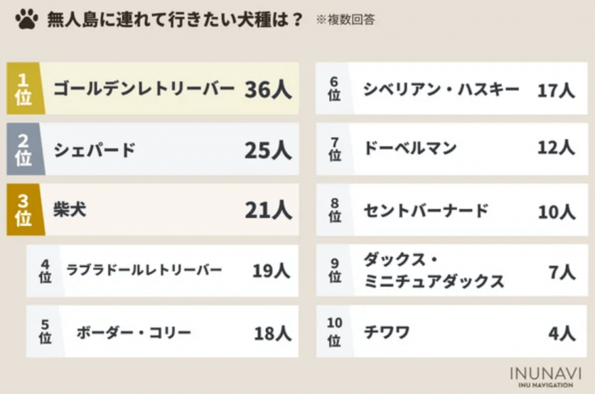 スクリーンショット 2024-02-23 122724