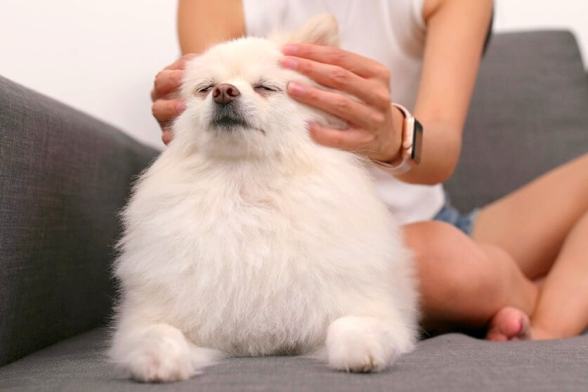 massage01
