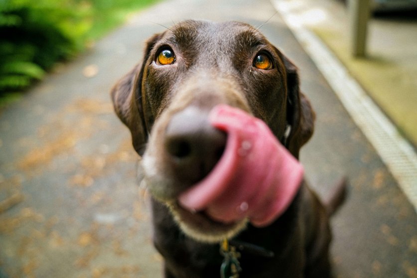 james-barker-v3-zcCWMjgM-unsplash (4)