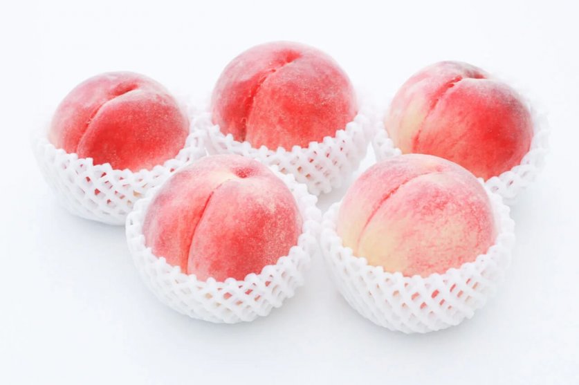 summer_fruits04