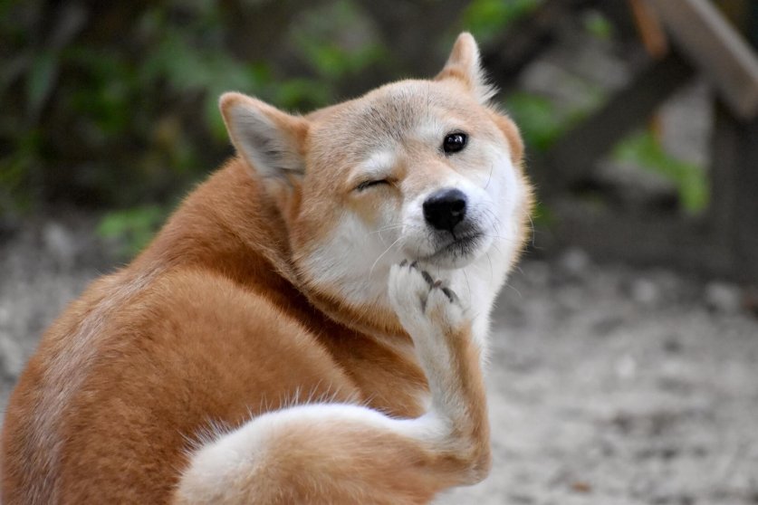 症状別の病気08