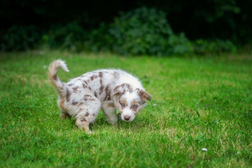 ayla-verschueren-BcQQZ0B9d1s-unsplash