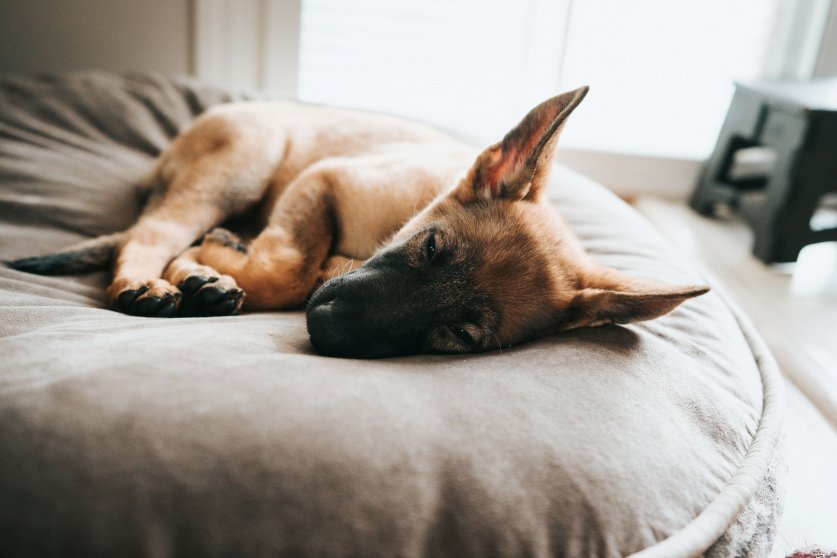 dex-ezekiel-5RAlU1pjNio-unsplash