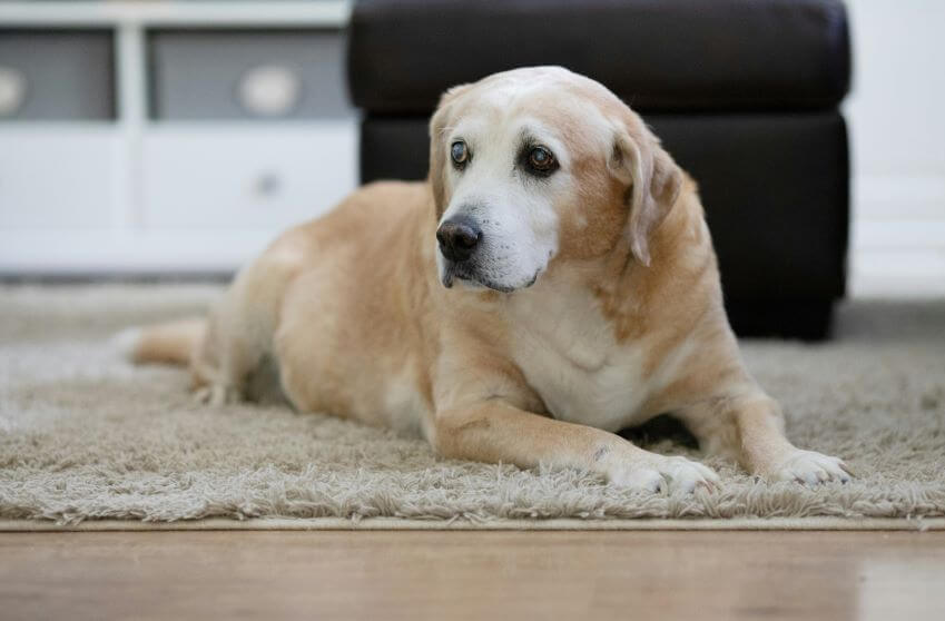 reba-spike-FnMh0z-IeBY-unsplash (2)