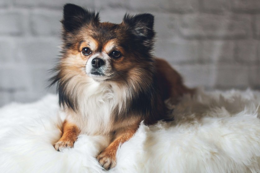 herbert-goetsch-wQLO840IuL8-unsplash