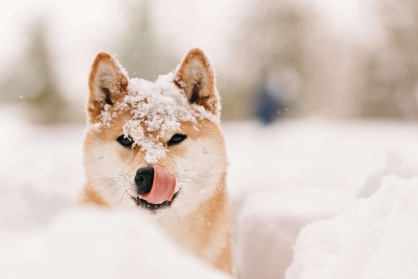 AdobeStock_134143684