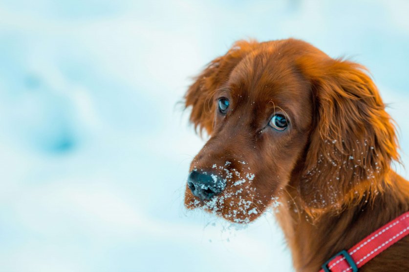 gary-sandoz-gZJ9Q04h5mc-unsplash (1)