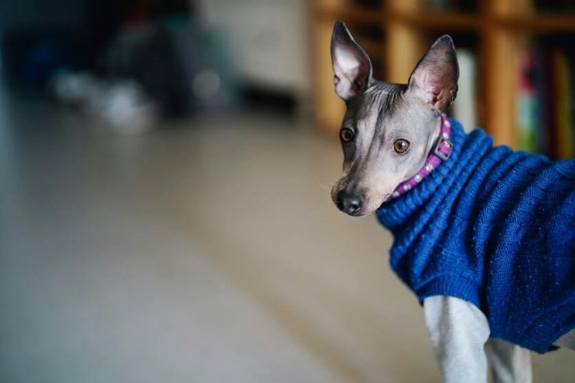 anya-chernik-3sqPCKwtW-U-unsplash