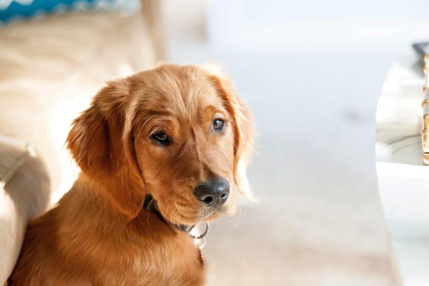 maddy-baker-WpLC86UD7Lk-unsplash (1)
