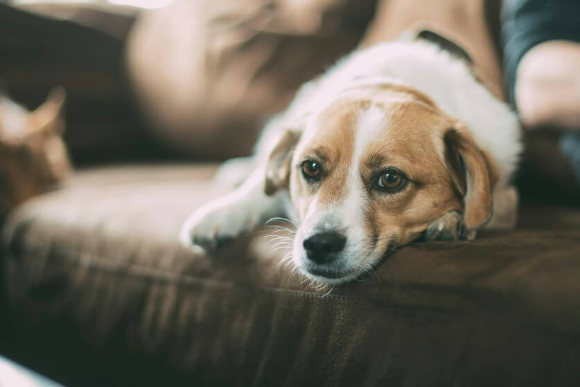 robert-larsson-TkwzP_frzl4-unsplash (1)